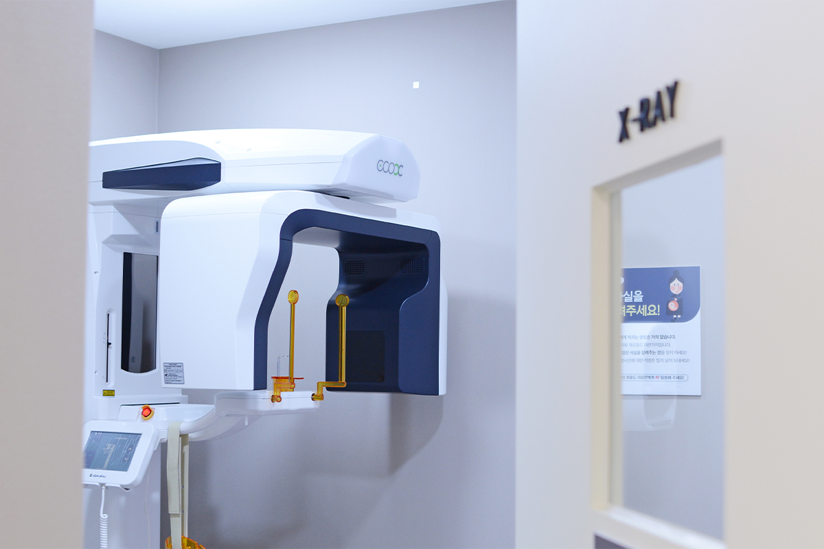 XRAY실